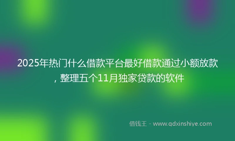 2025年热门什么借款平台最好借款通过小额放款，整理五个11月独家贷款的软件