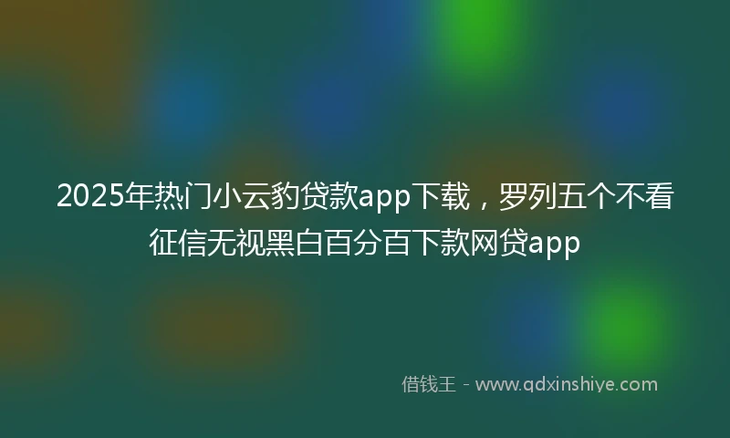 2025年热门小云豹贷款app下载，罗列五个不看征信无视黑白百分百下款网贷app