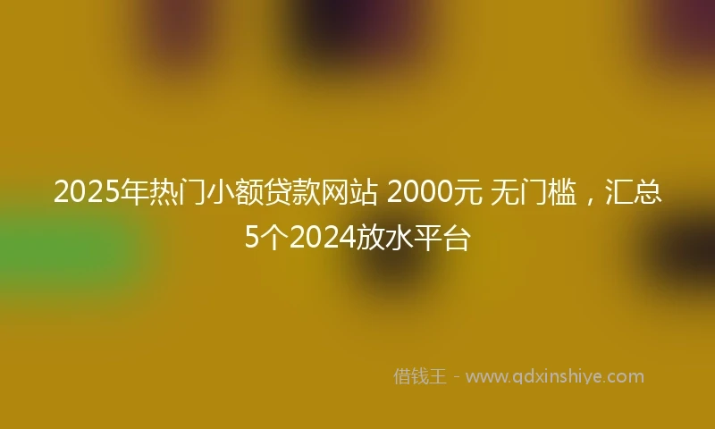 2025年热门小额贷款网站 2000元 无门槛，汇总5个2024放水平台