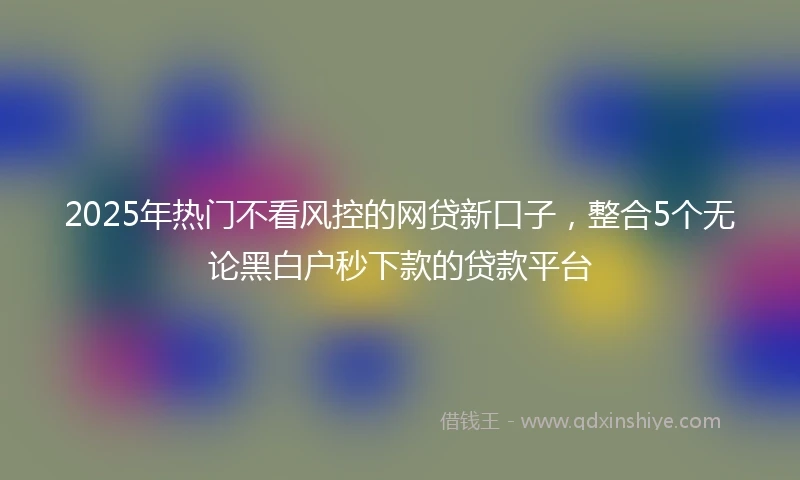 2025年热门不看风控的网贷新口子，整合5个无论黑白户秒下款的贷款平台