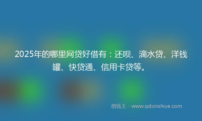 2025年的哪里网贷好借有：还呗、滴水贷、洋钱罐、快贷通、信用卡贷等。