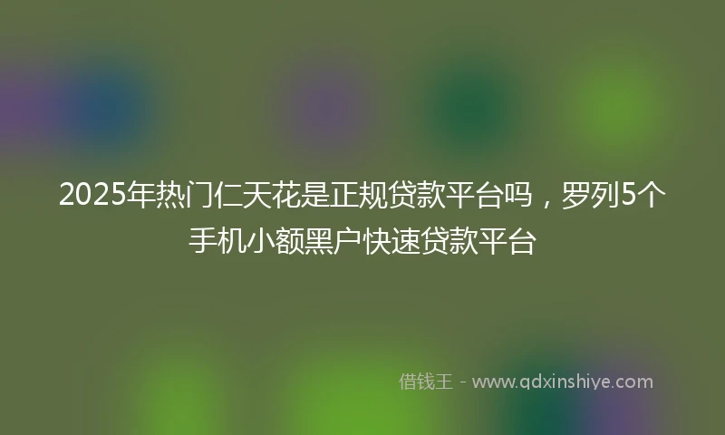 2025年热门仁天花是正规贷款平台吗，罗列5个手机小额黑户快速贷款平台