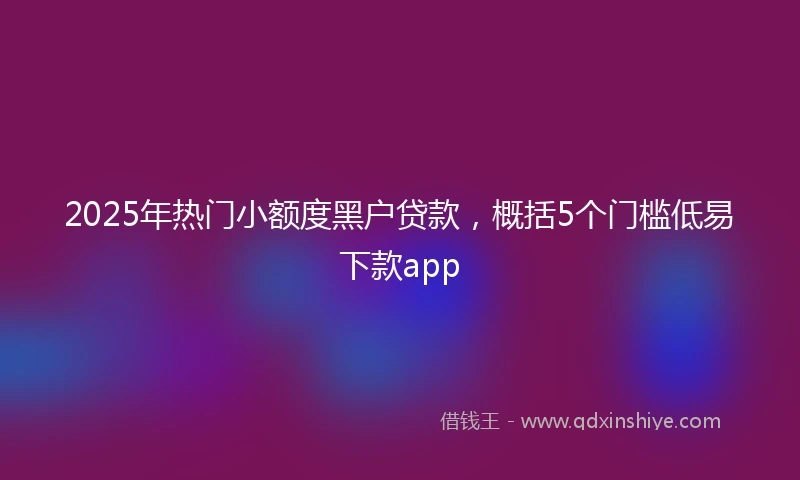 2025年热门小额度黑户贷款，概括5个门槛低易下款app