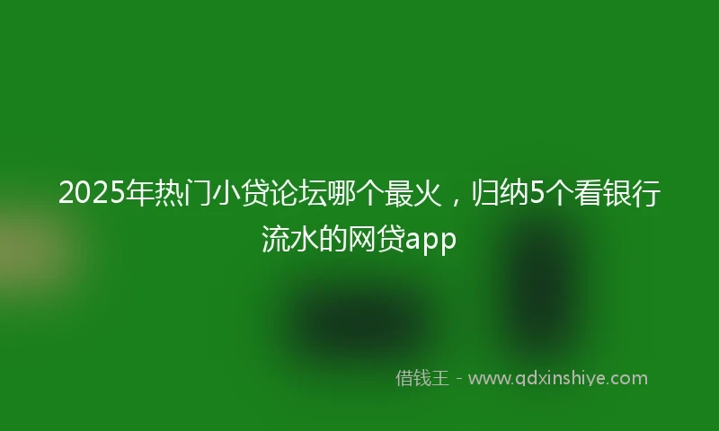 2025年热门小贷论坛哪个最火，归纳5个看银行流水的网贷app