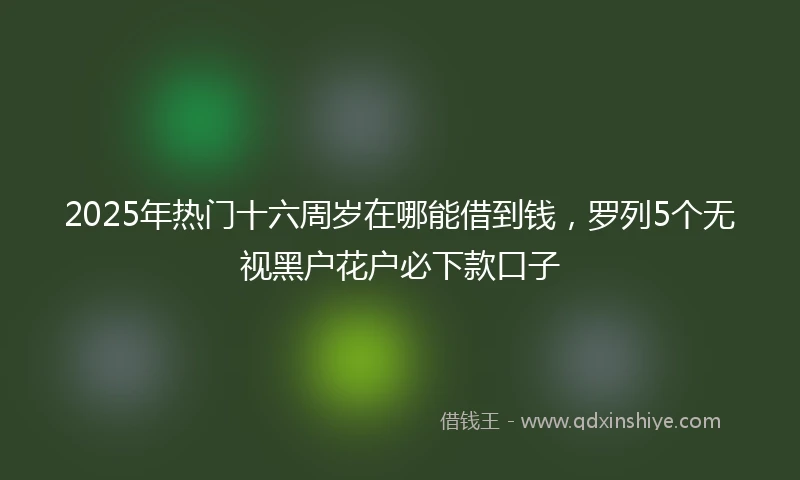 2025年热门十六周岁在哪能借到钱，罗列5个无视黑户花户必下款口子