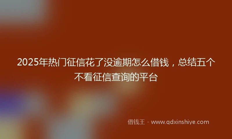 2025年热门征信花了没逾期怎么借钱，总结五个不看征信查询的平台
