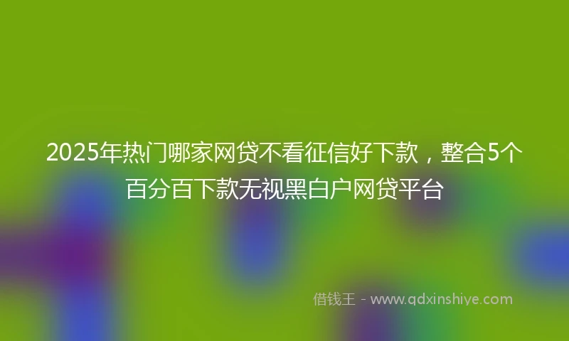 2025年热门哪家网贷不看征信好下款，整合5个百分百下款无视黑白户网贷平台
