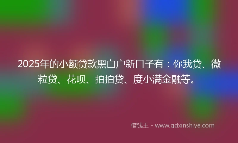 2025年的小额贷款黑白户新口子有：你我贷、微粒贷、花呗、拍拍贷、度小满金融等。