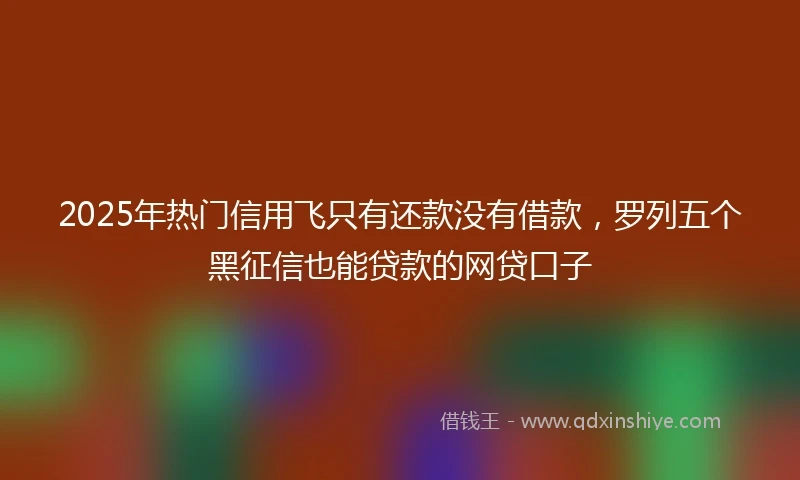 2025年热门信用飞只有还款没有借款，罗列五个黑征信也能贷款的网贷口子