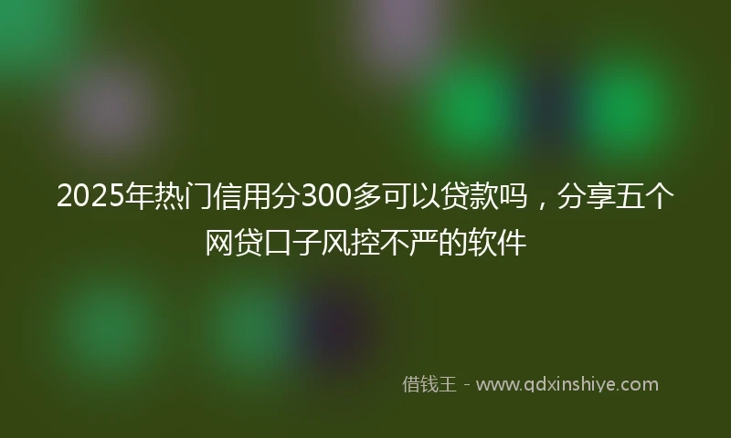 2025年热门信用分300多可以贷款吗，分享五个网贷口子风控不严的软件