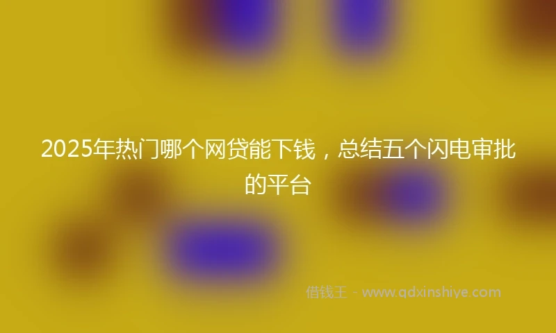 2025年热门哪个网贷能下钱,总结五个闪电审批的平台
