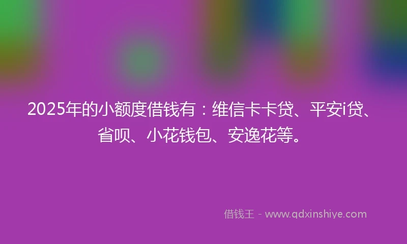 2025年的小额度借钱有：维信卡卡贷、平安i贷、省呗、小花钱包、安逸花等。