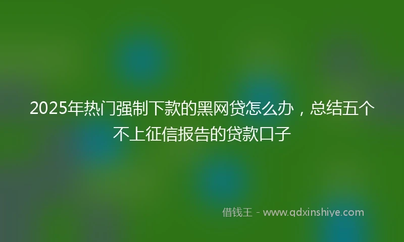 2025年热门强制下款的黑网贷怎么办，总结五个不上征信报告的贷款口子
