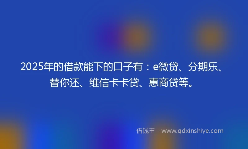 2025年的借款能下的口子有：e微贷、分期乐、替你还、维信卡卡贷、惠商贷等。