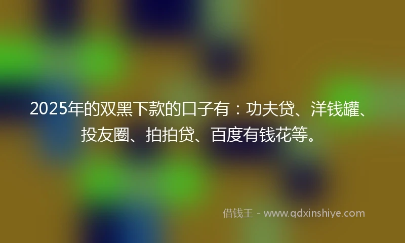 2025年的双黑下款的口子有：功夫贷、洋钱罐、投友圈、拍拍贷、百度有钱花等。