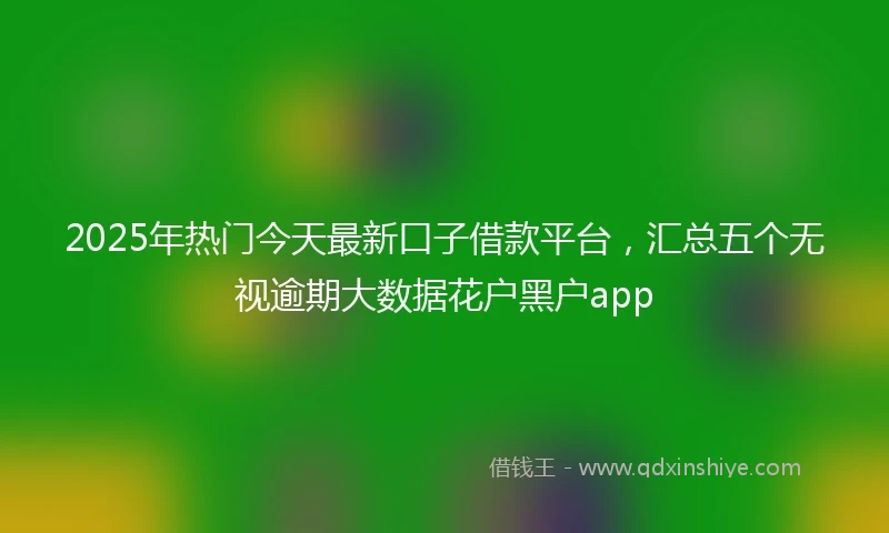 2025年热门今天最新口子借款平台，汇总五个无视逾期大数据花户黑户app