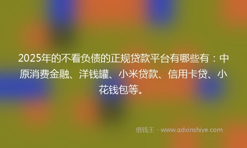 2025年的不看负债的正规贷款平台有哪些有：中原消费金融、洋钱罐、小米贷款、信用卡贷、小花钱包等。