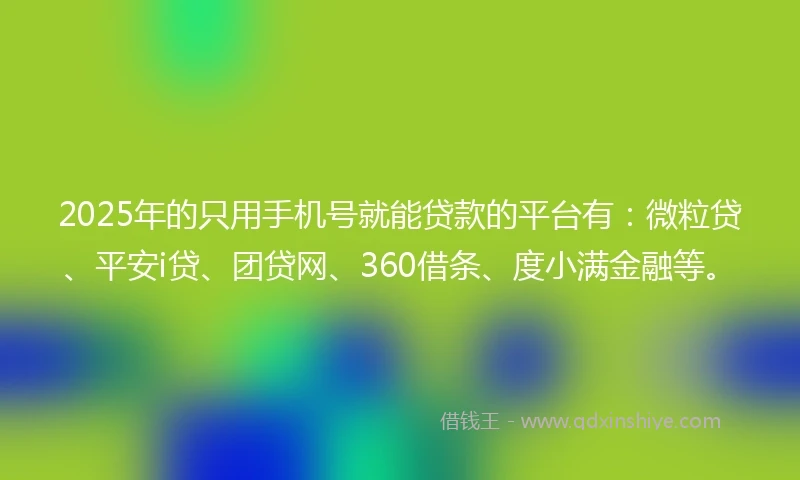 2025年的只用手机号就能贷款的平台有：微粒贷、平安i贷、团贷网、360借条、度小满金融等。