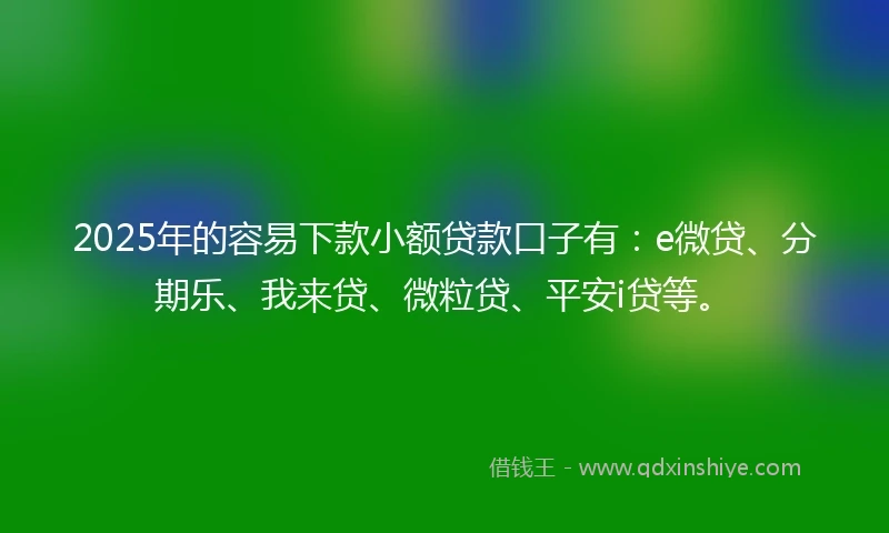 2025年的容易下款小额贷款口子有：e微贷、分期乐、我来贷、微粒贷、平安i贷等。