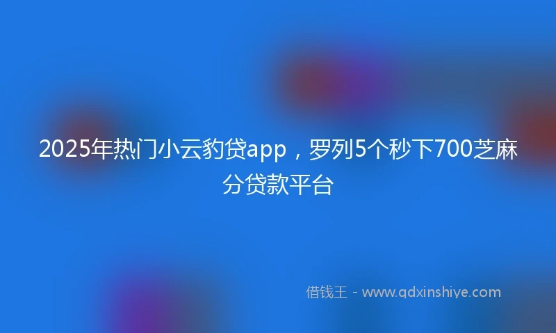 2025年热门小云豹贷app，罗列5个秒下700芝麻分贷款平台