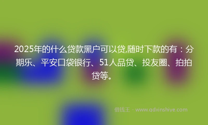 2025年的什么贷款黑户可以贷,随时下款的有：分期乐、平安口袋银行、51人品贷、投友圈、拍拍贷等。