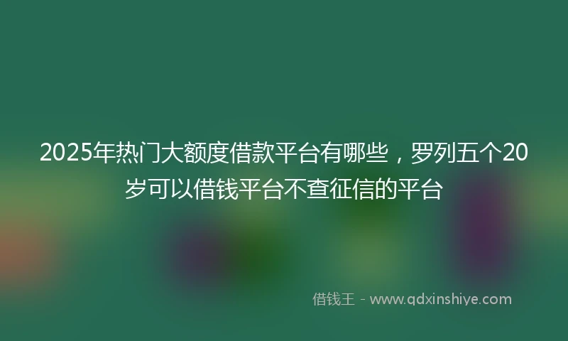 2025年热门大额度借款平台有哪些，罗列五个20岁可以借钱平台不查征信的平台