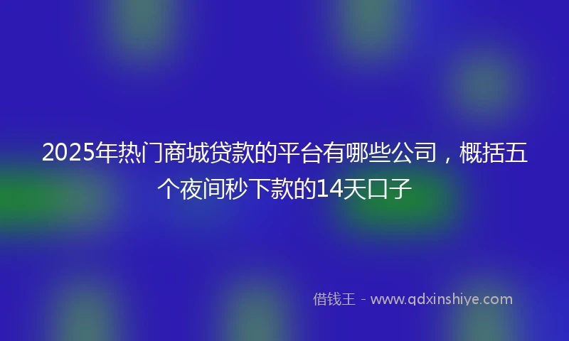 2025年热门商城贷款的平台有哪些公司，概括五个夜间秒下款的14天口子