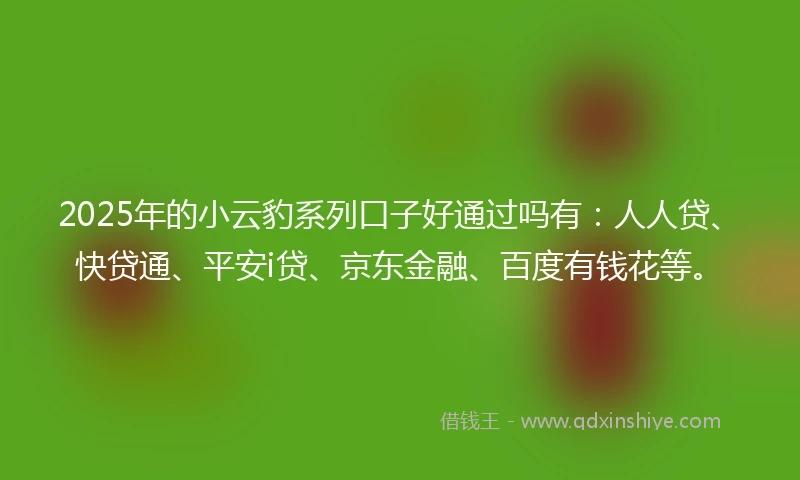 2025年的小云豹系列口子好通过吗有：人人贷、快贷通、平安i贷、京东金融、百度有钱花等。