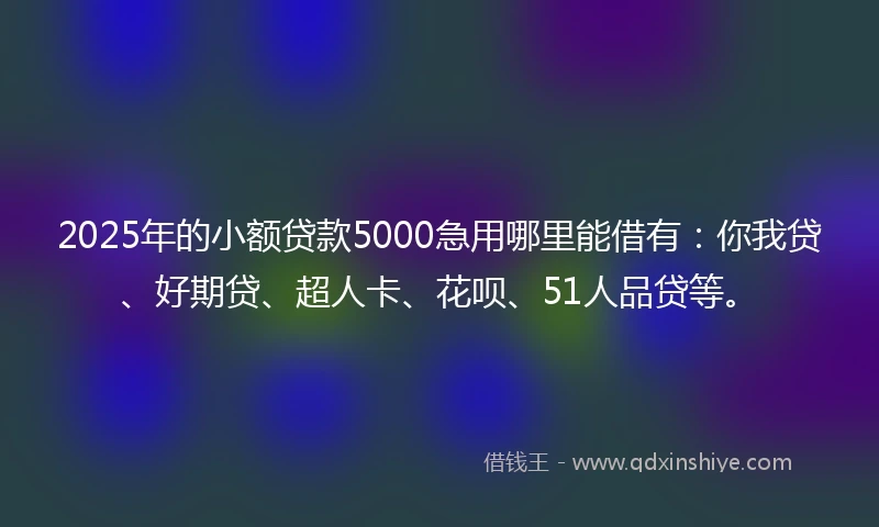 2025年的小额贷款5000急用哪里能借有：你我贷、好期贷、超人卡、花呗、51人品贷等。