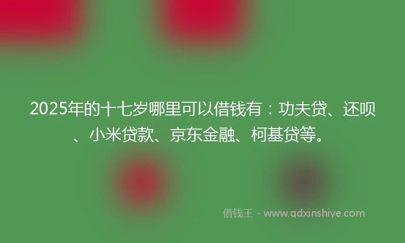 2025年的十七岁哪里可以借钱有：功夫贷、还呗、小米贷款、京东金融、柯基贷等。