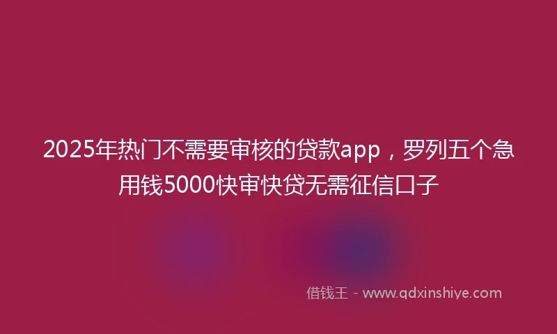 2025年热门不需要审核的贷款app，罗列五个急用钱5000快审快贷无需征信口子