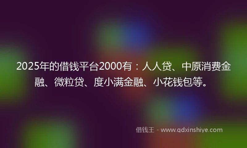 2025年的借钱平台2000有：人人贷、中原消费金融、微粒贷、度小满金融、小花钱包等。