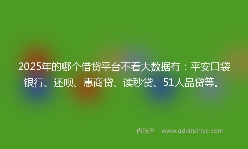 2025年的哪个借贷平台不看大数据有：平安口袋银行、还呗、惠商贷、读秒贷、51人品贷等。