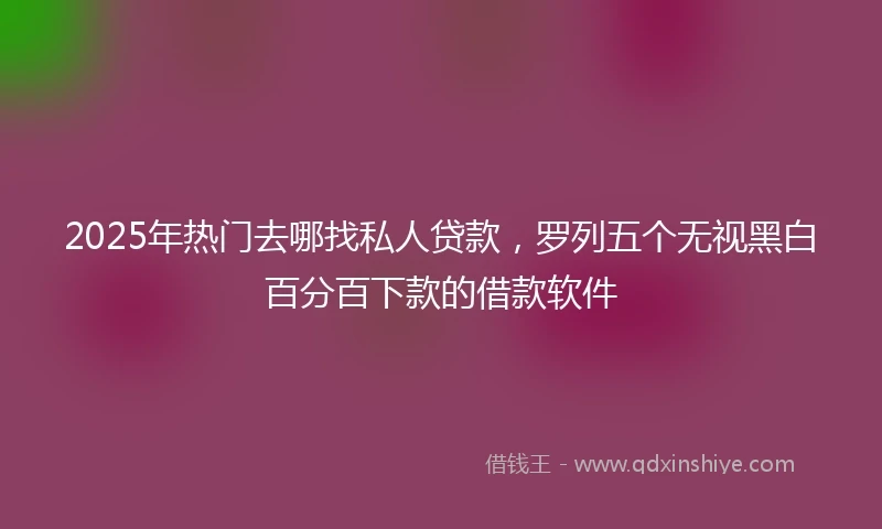 2025年热门去哪找私人贷款，罗列五个无视黑白百分百下款的借款软件