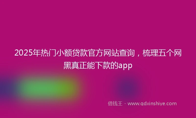 2025年热门小额贷款官方网站查询，梳理五个网黑真正能下款的app
