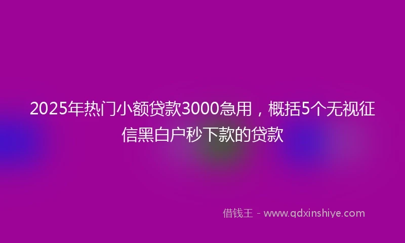 2025年热门小额贷款3000急用，概括5个无视征信黑白户秒下款的贷款