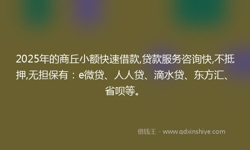 2025年的商丘小额快速借款,贷款服务咨询快,不抵押,无担保有：e微贷、人人贷、滴水贷、东方汇、省呗等。