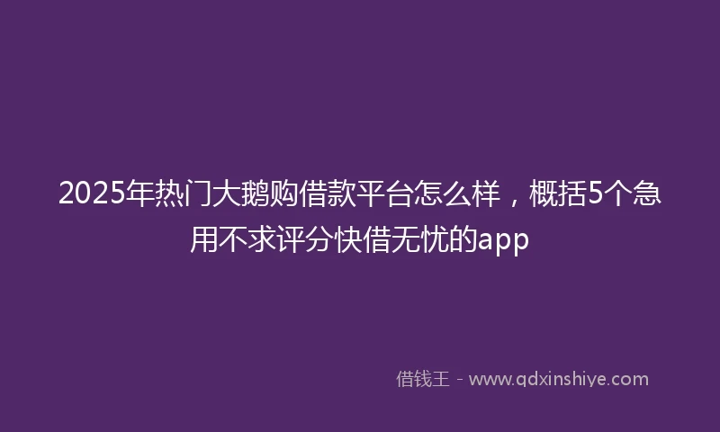 2025年热门大鹅购借款平台怎么样，概括5个急用不求评分快借无忧的app