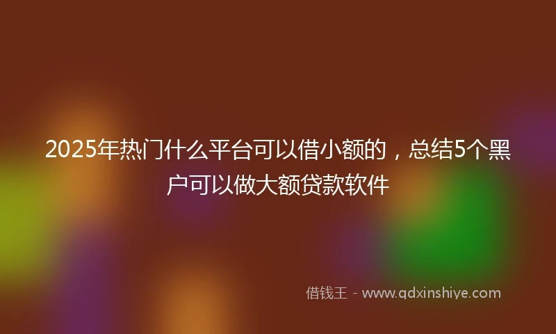 2025年热门什么平台可以借小额的，总结5个黑户可以做大额贷款软件