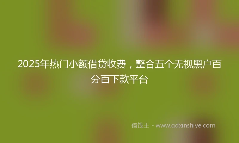 2025年热门小额借贷收费，整合五个无视黑户百分百下款平台