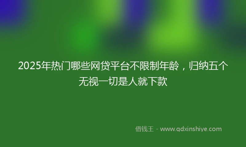 2025年热门哪些网贷平台不限制年龄，归纳五个无视一切是人就下款