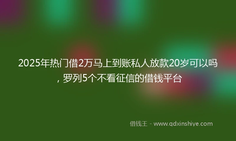 2025年热门借2万马上到账私人放款20岁可以吗，罗列5个不看征信的借钱平台