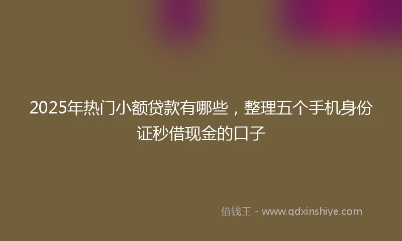 2025年热门小额贷款有哪些，整理五个手机身份证秒借现金的口子