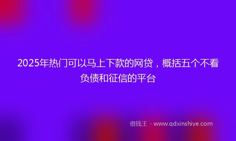 2025年热门可以马上下款的网贷，概括五个不看负债和征信的平台