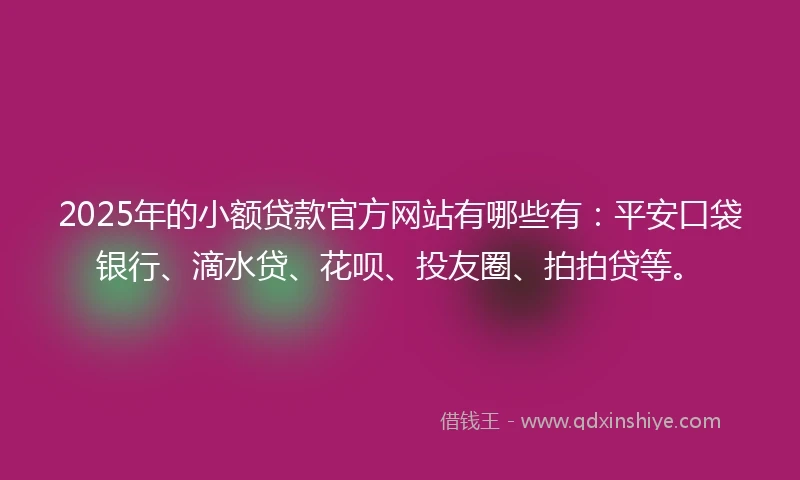2025年的小额贷款官方网站有哪些有：平安口袋银行、滴水贷、花呗、投友圈、拍拍贷等。