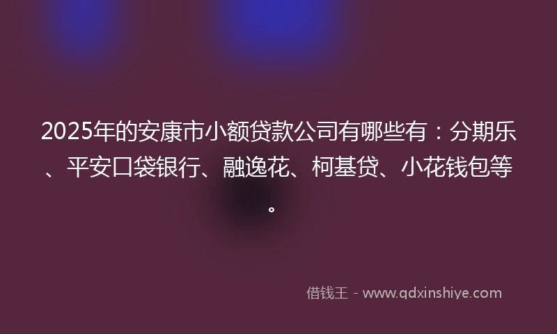 2025年的安康市小额贷款公司有哪些有：分期乐、平安口袋银行、融逸花、柯基贷、小花钱包等。