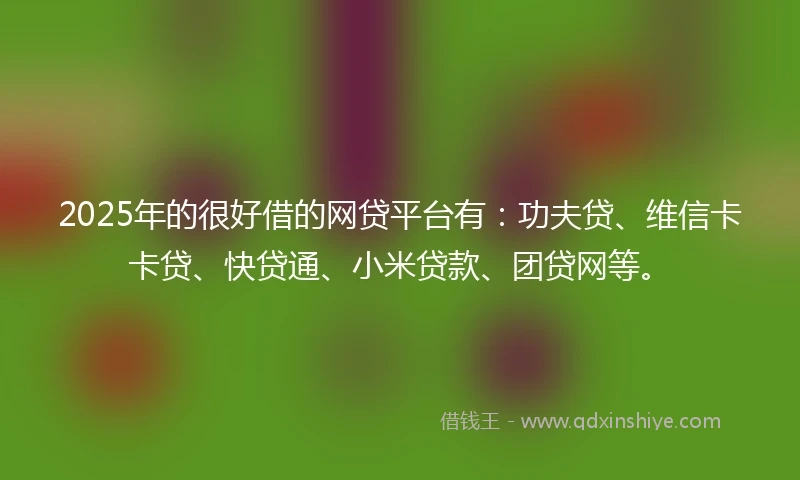 2025年的很好借的网贷平台有：功夫贷、维信卡卡贷、快贷通、小米贷款、团贷网等。