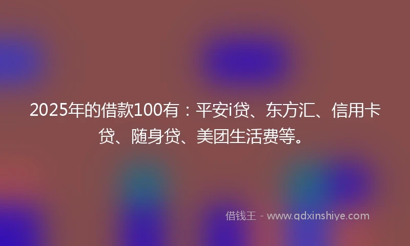 2025年的借款100有：平安i贷、东方汇、信用卡贷、随身贷、美团生活费等。