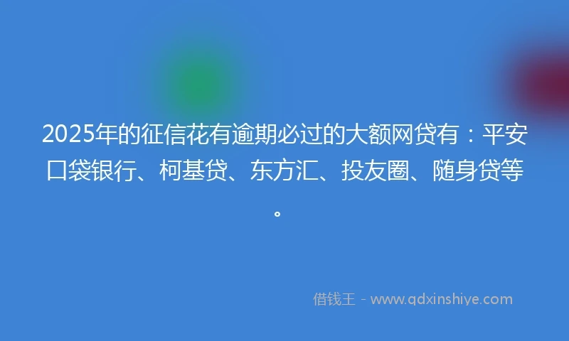 2025年的征信花有逾期必过的大额网贷有：平安口袋银行、柯基贷、东方汇、投友圈、随身贷等。