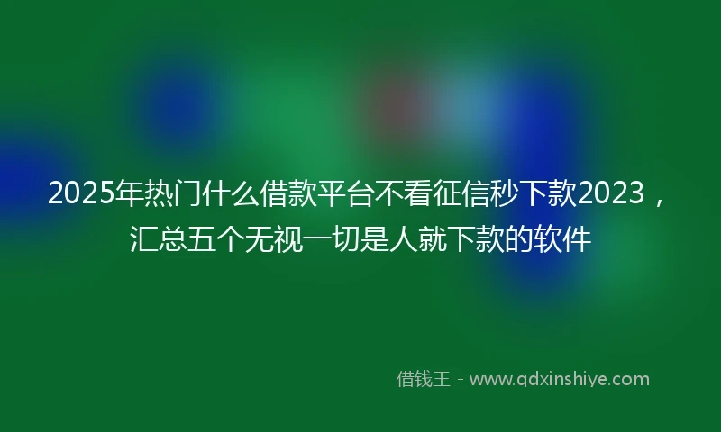 2025年热门什么借款平台不看征信秒下款2023，汇总五个无视一切是人就下款的软件